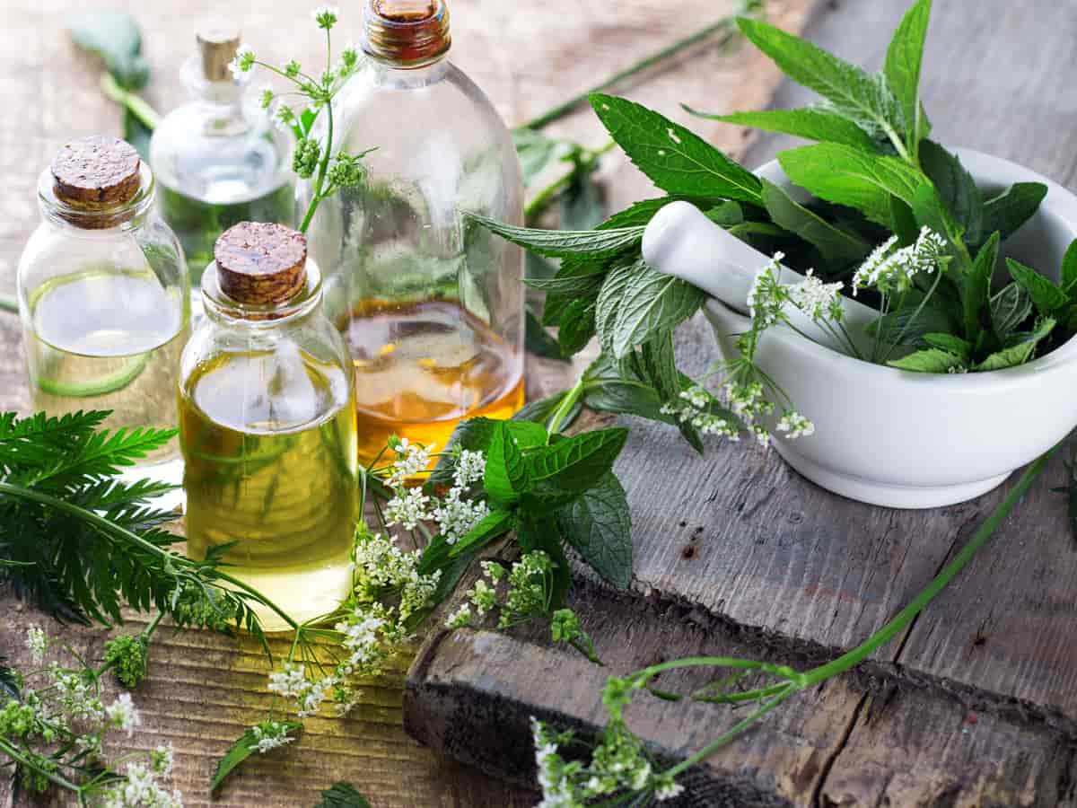 BEST ESSENTIAL OILS FOR SKIN RASHES & POISON IVY NATURAL REMEDIES